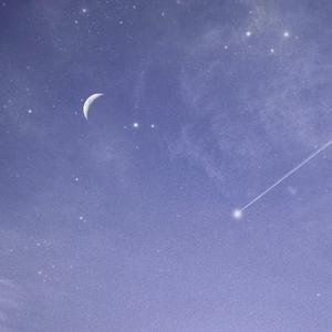 骚逼尻中文xxxxvideo
