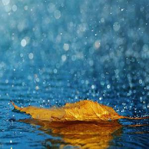 骚逼尻中文xxxxvideo
